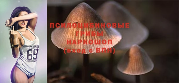прущие грибы Алексин