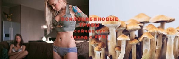 прущие грибы Алексин