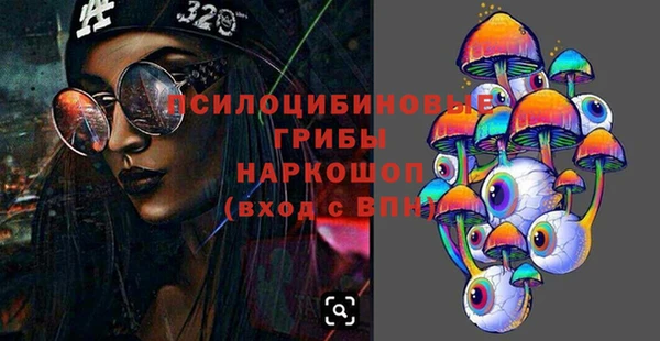 ГАЛЛЮЦИНОГЕННЫЕ ГРИБЫ Абдулино