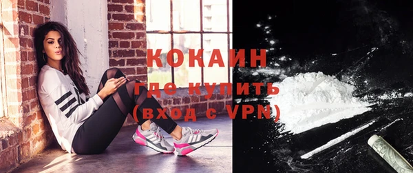 шишки Абаза