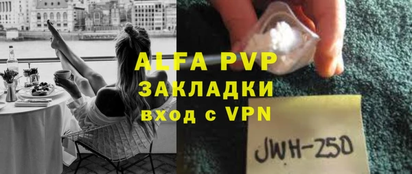 шишки Абаза